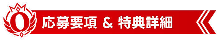 実施概要